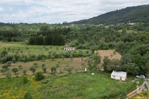 Helårsgrund i Penela, Coimbra, Penela - € 55.000 | Ref: 143956 - foto 8