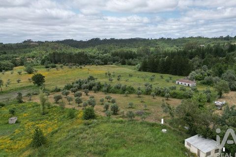Helårsgrund i Penela, Coimbra, Penela - € 55.000 | Ref: 143956 - foto 9