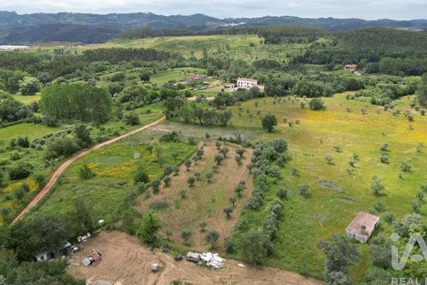 Helårsgrund i Penela, Coimbra, Penela - € 55.000 | Ref: 143956 - foto 10