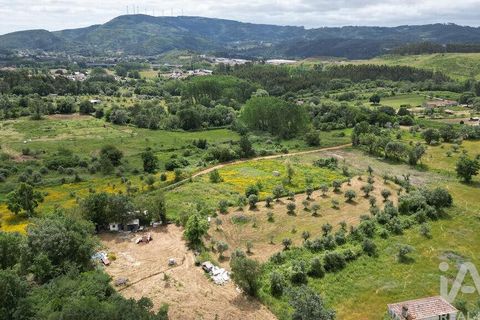 Helårsgrund i Penela, Coimbra, Penela - € 55.000 | Ref: 143956 - foto 11