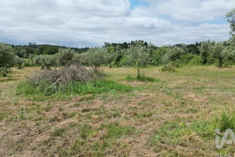 Helårsgrund i Penela, Coimbra, Penela - € 55.000 | Ref: 143956 - foto 12