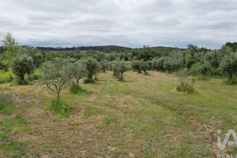 Helårsgrund i Penela, Coimbra, Penela - € 55.000 | Ref: 143956 - foto 13