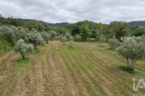 Helårsgrund i Penela, Coimbra, Penela - € 55.000 | Ref: 143956 - foto 14