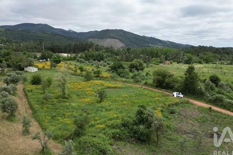 Helårsgrund i Penela, Coimbra, Penela - € 55.000 | Ref: 143956 - foto 16