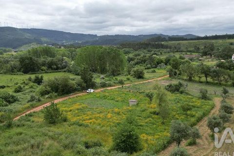Helårsgrund i Penela, Coimbra, Penela - € 55.000 | Ref: 143956 - foto 17