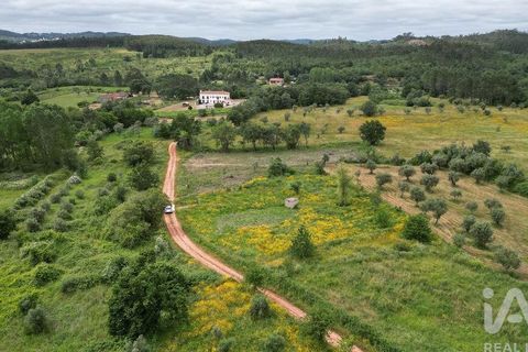 Helårsgrund i Penela, Coimbra, Penela - € 55.000 | Ref: 143956 - foto 19