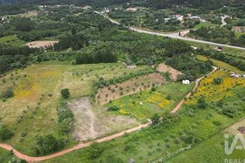 Helårsgrund i Penela, Coimbra, Penela - € 55.000 | Ref: 143956 - foto 21