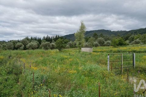 Helårsgrund i Penela, Coimbra, Penela - € 55.000 | Ref: 143956 - foto 22