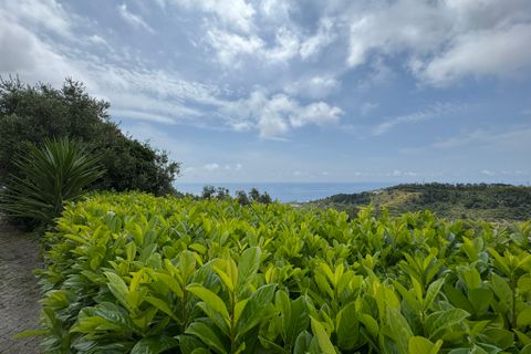 Villa a Castellaro, Imperia, Castellaro - € 590.000 | Ref: 292 - foto 7