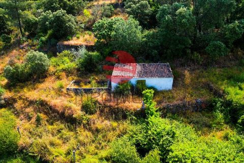 Terra a Longroiva, Guarda, Longroiva - € 17.000 | Ref: 480/MDA - foto 2