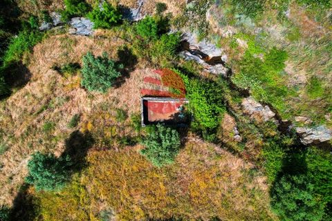 Terra a Longroiva, Guarda, Longroiva - € 17.000 | Ref: 480/MDA - foto 6