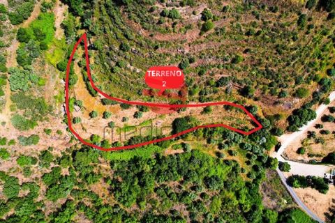Terra a Longroiva, Guarda, Longroiva - € 17.000 | Ref: 480/MDA - foto 8