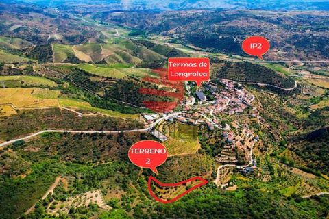 Terra a Longroiva, Guarda, Longroiva - € 17.000 | Ref: 480/MDA - foto 9