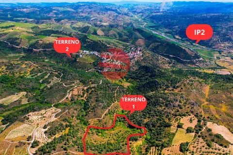 Terra a Longroiva, Guarda, Longroiva - € 17.000 | Ref: 480/MDA - foto 10