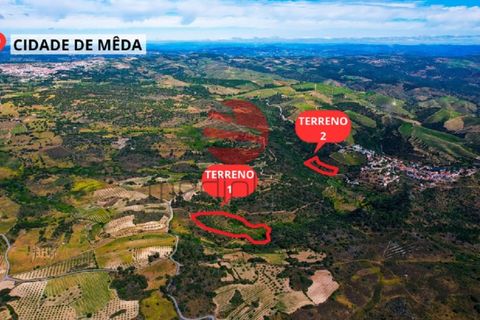Terra a Longroiva, Guarda, Longroiva - € 17.000 | Ref: 480/MDA - foto 11