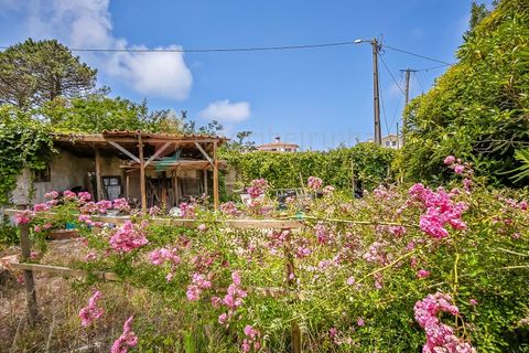 Villa i Almocageme, Lisbon, Almocageme - € 790.000 | Ref: M717 - foto 5