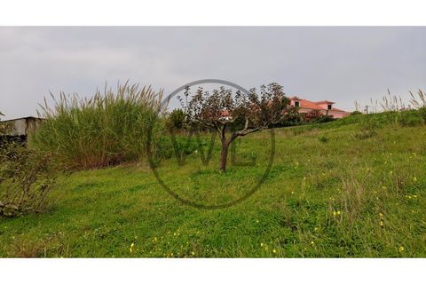 Helårsgrund i Mafra, Lisbon, Mafra - € 120.000 | Ref: SÒL_5835 - foto 2