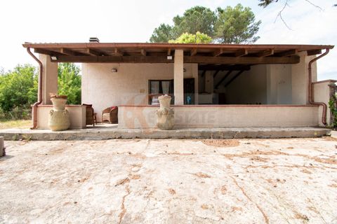 Villa i Codrongianos, Sassari, Codrongianos - € 59.000 | Ref: 13758 - foto 2