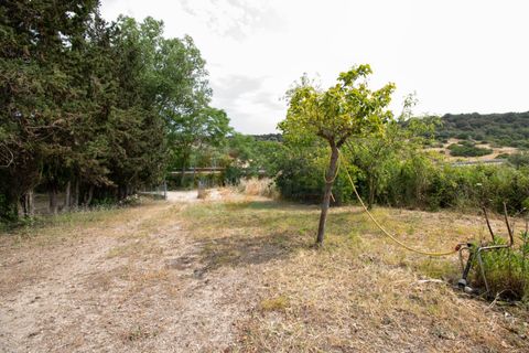 Villa i Codrongianos, Sassari, Codrongianos - € 59.000 | Ref: 13758 - foto 17