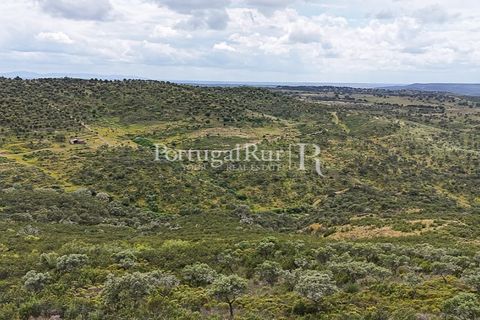 Terra a Rosmaninhal, Castelo Branco, Rosmaninhal - € 1.100.000 | Ref: FG282 - foto 4