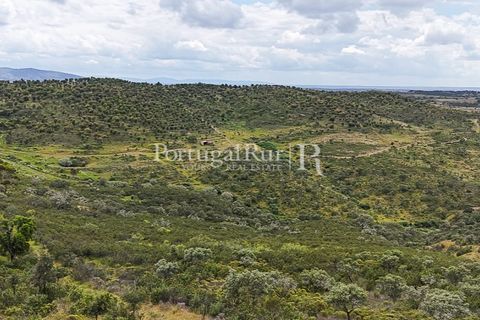Terra a Rosmaninhal, Castelo Branco, Rosmaninhal - € 1.100.000 | Ref: FG282 - foto 5