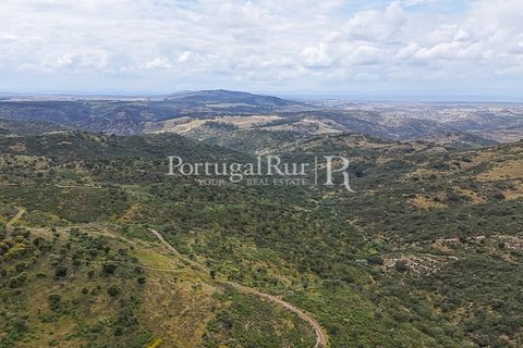 Terra a Rosmaninhal, Castelo Branco, Rosmaninhal - € 1.100.000 | Ref: FG282 - foto 7