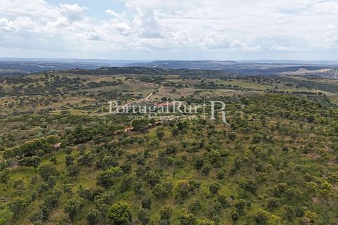 Terra a Rosmaninhal, Castelo Branco, Rosmaninhal - € 1.100.000 | Ref: FG282 - foto 8