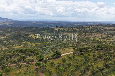 Terra a Rosmaninhal, Castelo Branco, Rosmaninhal - € 1.100.000 | Ref: FG282 - foto 9