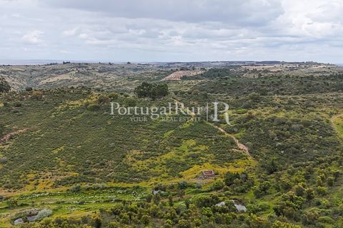 Terra a Rosmaninhal, Castelo Branco, Rosmaninhal - € 1.100.000 | Ref: FG282 - foto 10