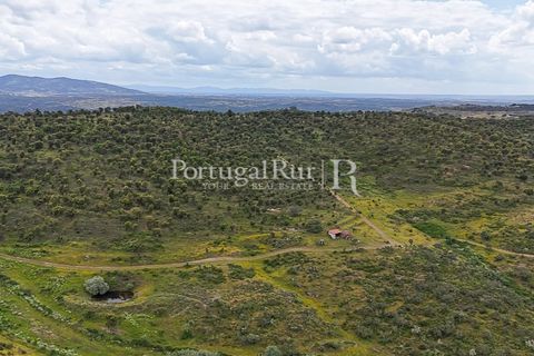 Terra a Rosmaninhal, Castelo Branco, Rosmaninhal - € 1.100.000 | Ref: FG282 - foto 11