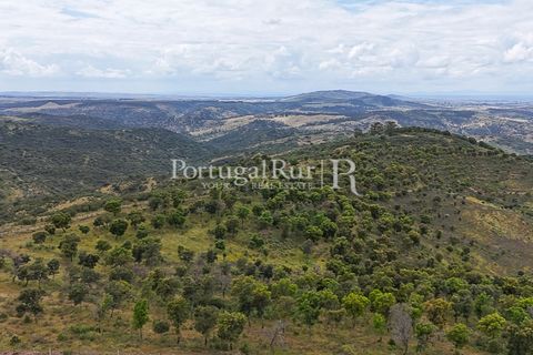 Terra a Rosmaninhal, Castelo Branco, Rosmaninhal - € 1.100.000 | Ref: FG282 - foto 12