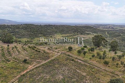 Terra a Rosmaninhal, Castelo Branco, Rosmaninhal - € 1.100.000 | Ref: FG282 - foto 14
