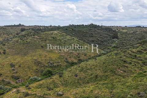 Terra a Rosmaninhal, Castelo Branco, Rosmaninhal - € 1.100.000 | Ref: FG282 - foto 16