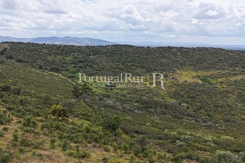 Terra a Rosmaninhal, Castelo Branco, Rosmaninhal - € 1.100.000 | Ref: FG282 - foto 17