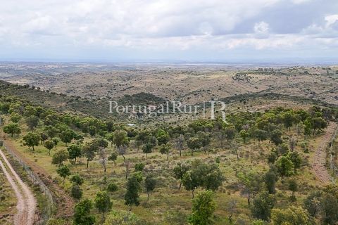 Terra a Rosmaninhal, Castelo Branco, Rosmaninhal - € 1.100.000 | Ref: FG282 - foto 18