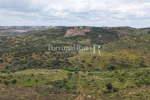 Terra a Rosmaninhal, Castelo Branco, Rosmaninhal - € 1.100.000 | Ref: FG282 - foto 19