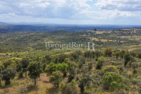 Terra a Rosmaninhal, Castelo Branco, Rosmaninhal - € 1.100.000 | Ref: FG282 - foto 20