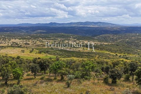 Terra a Rosmaninhal, Castelo Branco, Rosmaninhal - € 1.100.000 | Ref: FG282 - foto 21