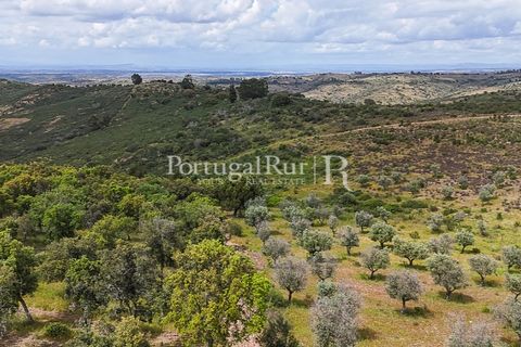 Terra a Rosmaninhal, Castelo Branco, Rosmaninhal - € 1.100.000 | Ref: FG282 - foto 22