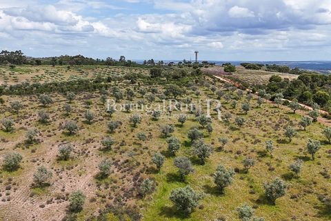 Terra a Rosmaninhal, Castelo Branco, Rosmaninhal - € 1.100.000 | Ref: FG282 - foto 23