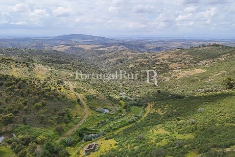 Terra a Rosmaninhal, Castelo Branco, Rosmaninhal - € 1.100.000 | Ref: FG282 - foto 27