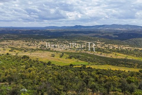 Terra a Rosmaninhal, Castelo Branco, Rosmaninhal - € 1.100.000 | Ref: FG282 - foto 29