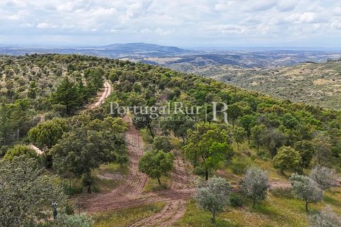 Terra a Rosmaninhal, Castelo Branco, Rosmaninhal - € 1.100.000 | Ref: FG282 - foto 30