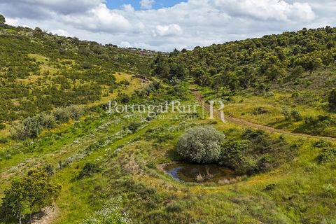 Terra a Rosmaninhal, Castelo Branco, Rosmaninhal - € 1.100.000 | Ref: FG282 - foto 31