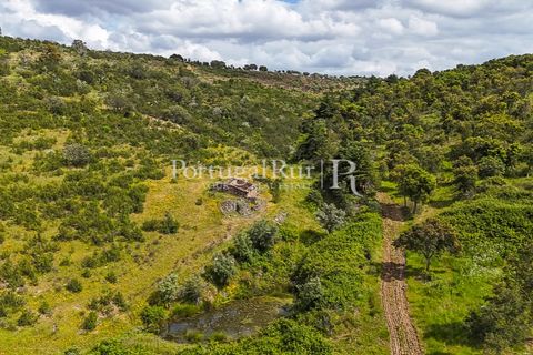 Terra a Rosmaninhal, Castelo Branco, Rosmaninhal - € 1.100.000 | Ref: FG282 - foto 32