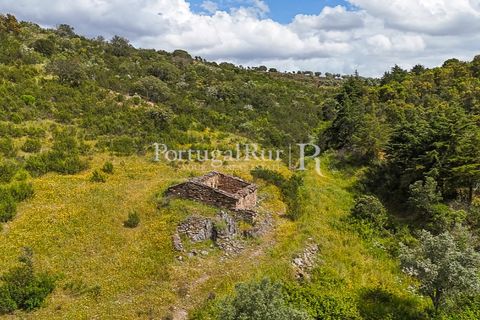 Terra a Rosmaninhal, Castelo Branco, Rosmaninhal - € 1.100.000 | Ref: FG282 - foto 33