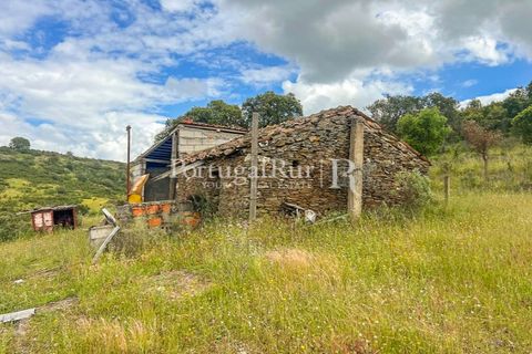 Terra a Rosmaninhal, Castelo Branco, Rosmaninhal - € 1.100.000 | Ref: FG282 - foto 35