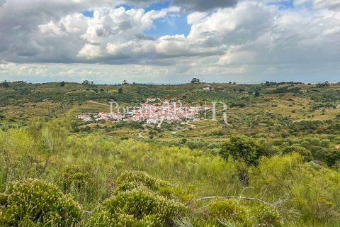 Terra a Rosmaninhal, Castelo Branco, Rosmaninhal - € 1.100.000 | Ref: FG282 - foto 39