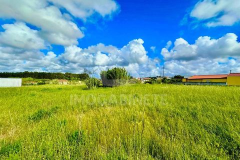 Helårsgrund i Lavos, Coimbra, Lavos - € 80.000 | Ref: HR 1833 - foto 2