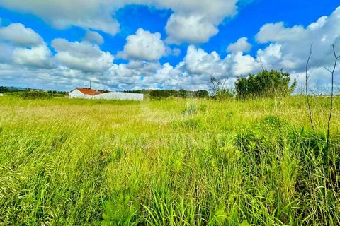 Helårsgrund i Lavos, Coimbra, Lavos - € 80.000 | Ref: HR 1833 - foto 8